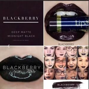 LipSense Lasting Liquid Lip Color Blackberry Lip Gloss New & Sealed